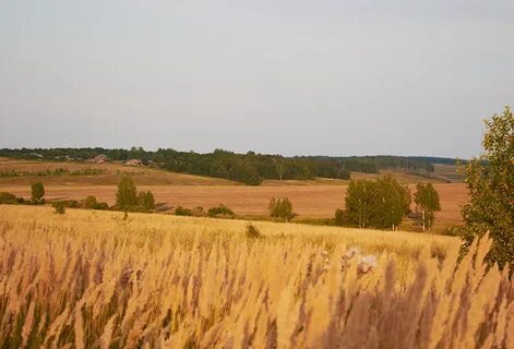 Кутузовский поселок сергиевский