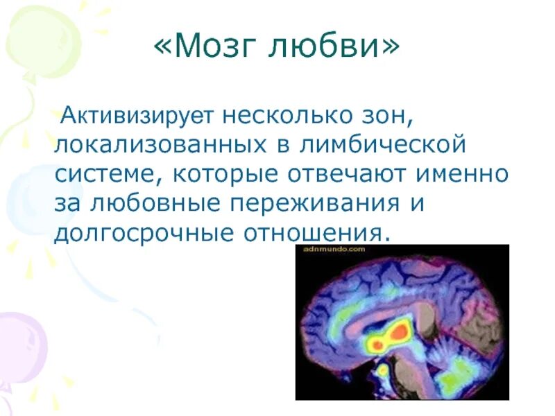 Temnee моя любовь без мозгов. Часть мозга отвечающая за влюбленность. Отдел мозга отвечающий за любовь. Влюбленность в мозге.