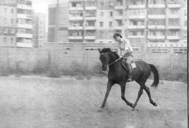 Лошади в Сокольниках. КСК урожай Сокольники. КСК урожай Сокольники в 1970гг. ДСО урожай конный спорт Сокольники фото.