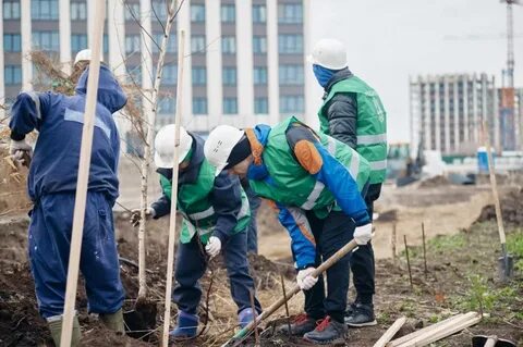 Ученого посадили