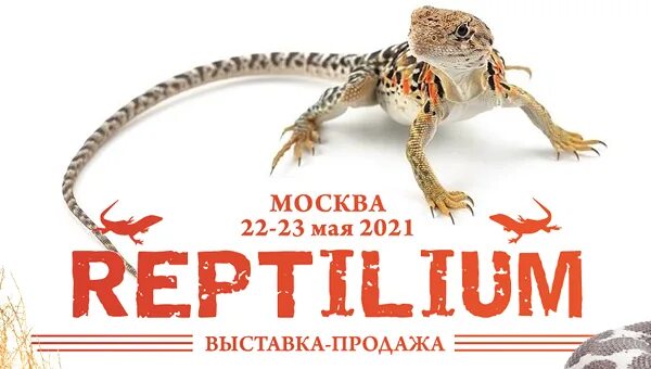 Рептилиум 2024 москва