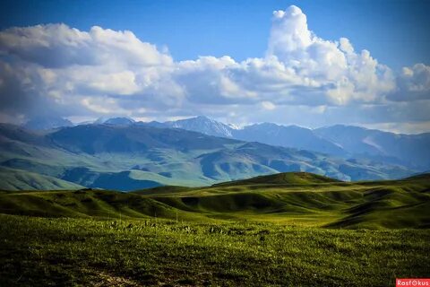 Ол көлікті соғып, жыныстық қатынас арқылы төледі.