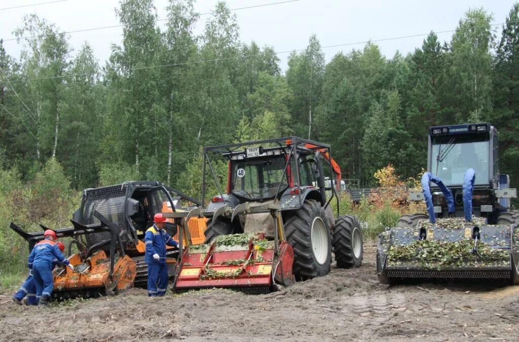 Тендеры расчистка