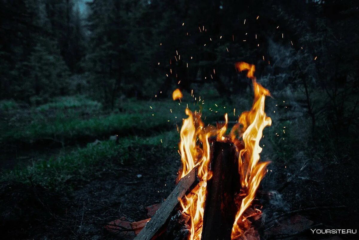 Пламя трепещет. Огненная девушка. Костер в лесу. Огонь. Красивый костер.