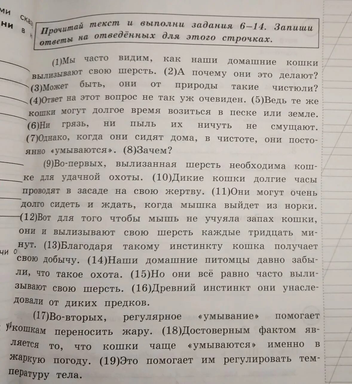 Насколько текст. Задай по тексту вопрос который поможет определить насколько точно. Задай по тексту вопрос который поможет. Вопросы по тексту. Как правильно задать вопрос по тексту чтобы понять его содержание.