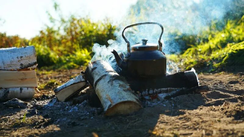 Заимка на урале телеграмм. Гребнево грязновка. Заимка на урале телеграмм. Деревня заимка на урале. Заимка агафьи лыковой.