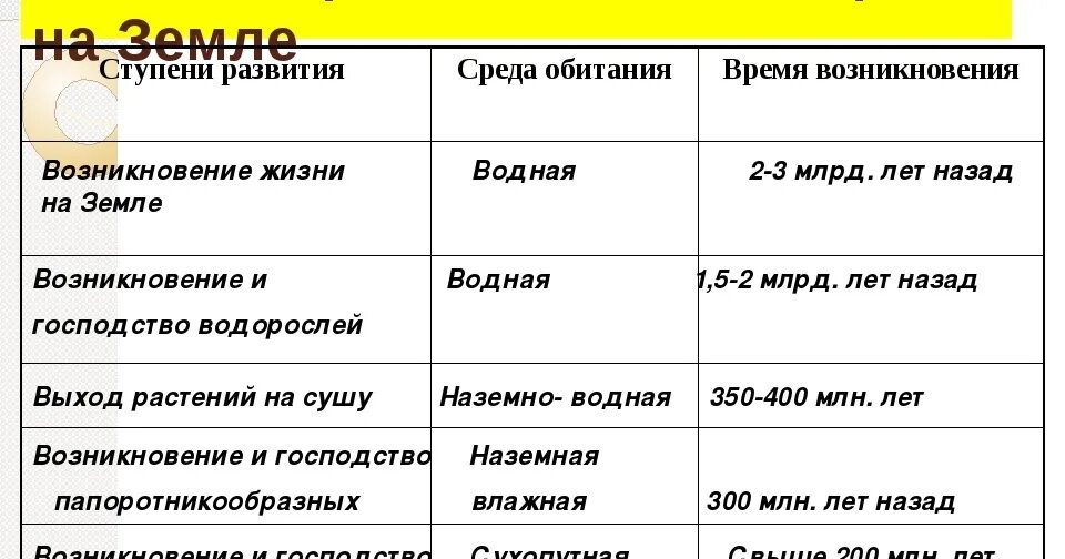 Усложнение организации покрытосеменных