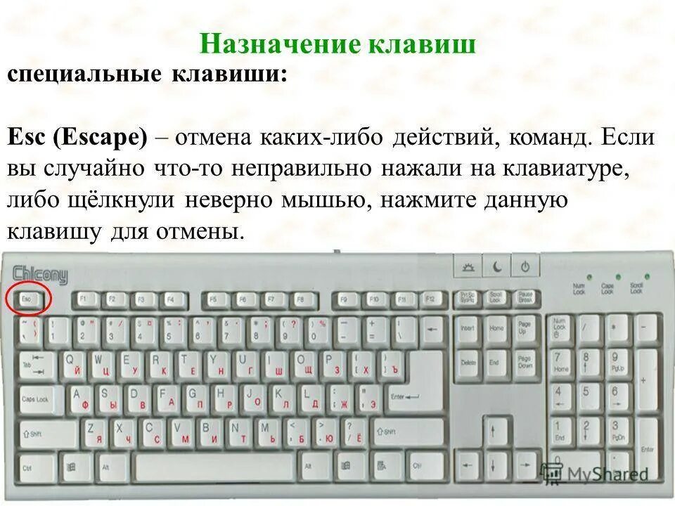 Можно с помощью нажатия. Назначение специальных клавиш. Клавиатура служит для. Кнопки клавиатуры компьютера Назначение. Назначение клавиш на клавиатуре.