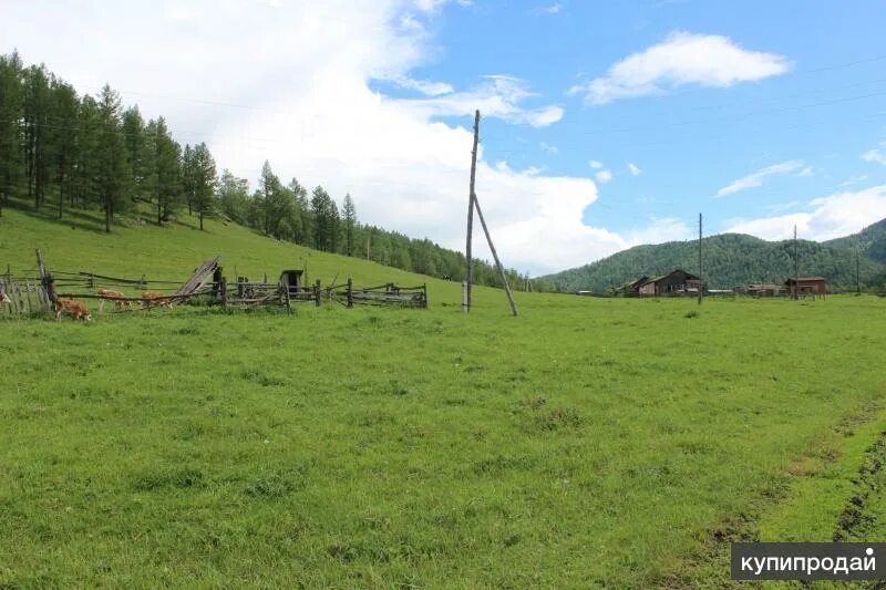 Погода ильинке республика алтай. Шебалинский район село Кумалыр. Кумалыр Республика Алтай. Ильинка Алтайский край Шебалинский район. Село Каспа Шебалинский район.