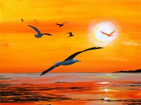 Закат солнца и птица 73 фото Tales of the inhabitants of world of diversities Aves volando, Fotografía del am