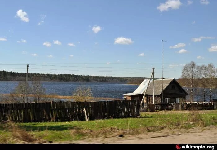 Город едрово. Едрово новгородская обл валдайский р-он. Едрово новгородская область школа. Погода едрово 10 дней. Погода едрово 10 дней.