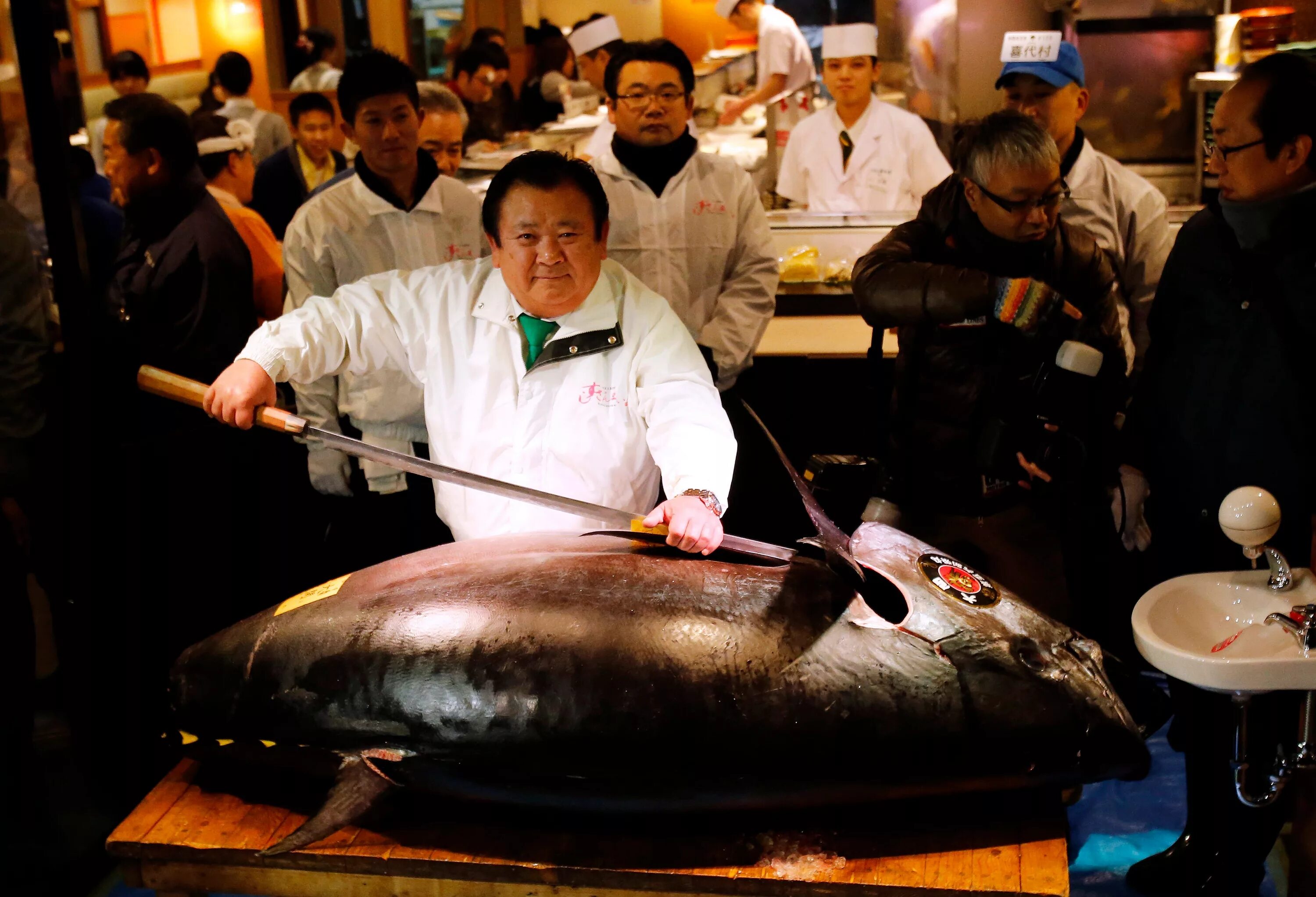 Рыба похожая на мясо. Голубой тунец. Тихоокеанский голубой тунец. Гигантский тунец.