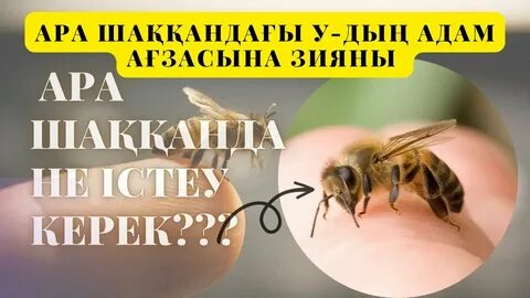 Қыз өтіп бара жатқан адамдарға оның кискасын ұстауға мүмкіндік береді