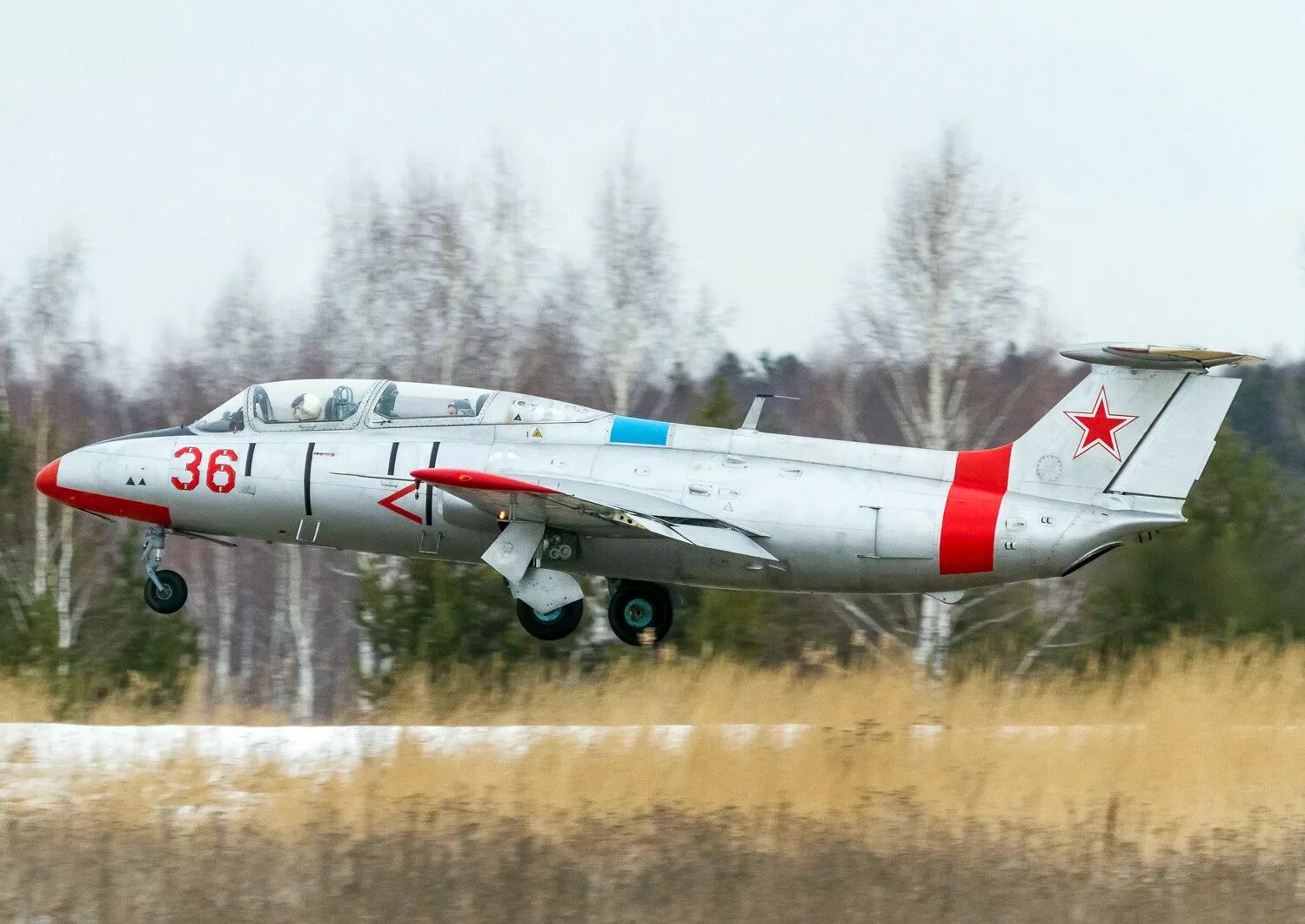 Л-29 Дельфин. Л-29 шасси. Л-29 Альбатрос. Реактивный самолет л-29.