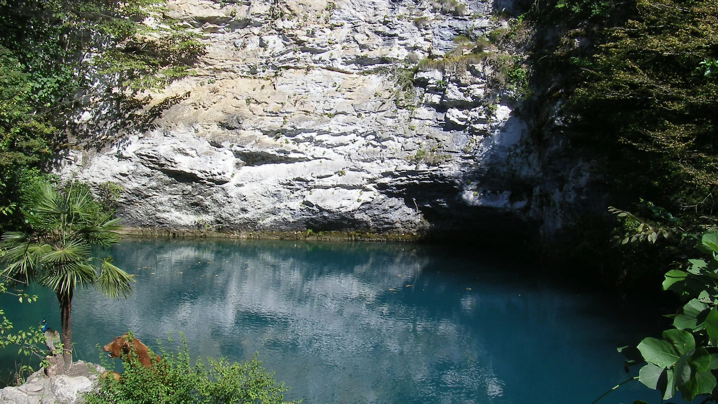 Голубые абхазии. Озеро Рица голубое озеро. Пицунда голубое озеро. Голубое Рица Абхазия. Озеро Рица Пицунда голубое озеро.