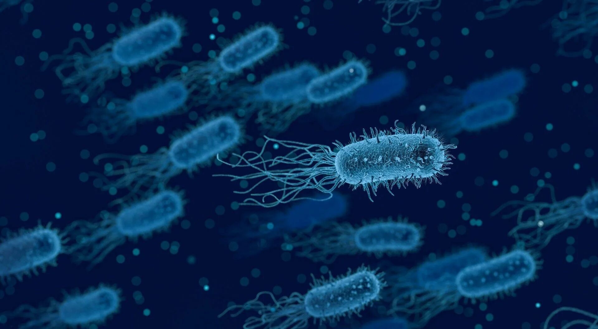 Прокариоты вирусы бактерии. Nitrosomonas eutropha. Бактерии. Бактерии микробиология. Бактерии разлагающие пластик.