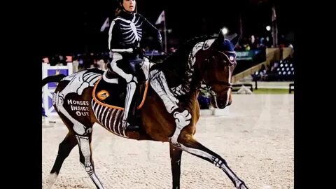 Ride horse have you ever ridden