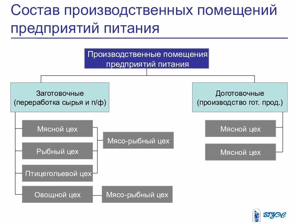 Структура производственных цехов предприятия общественного питания. Производственная структура предприятия питания схема. Схема структуры производства предприятия общественного питания. Структура производственных помещений. Организация питания относится к