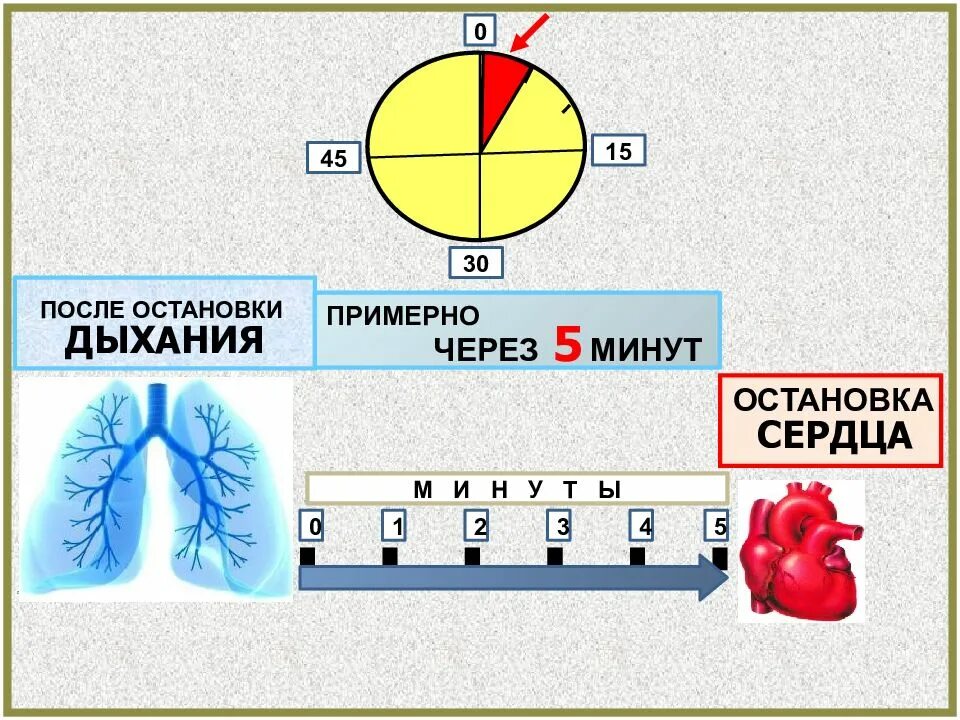 Остановка сердца и дыхания. Сколько человек живёт после остановки сердца. Остановка сердца на 5 минут. Может ли человек дышать если сердце остановилось. Остановился на 9 минуте