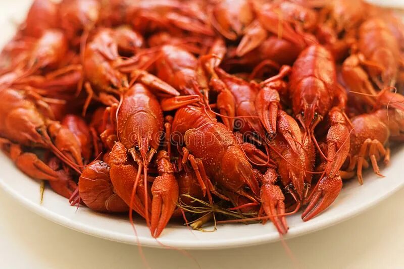 Кипящие раки. Boiled Crayfish. Crayfish on Plate.