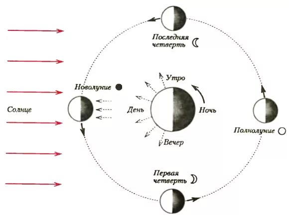 Схема полнолуния. Схема вращение земли и Луны вокруг солна. Расположение Луны относительно земли и солнца. Схема относительного положения солнца земли и Луны в новолуние. Полнолуние схема расположения земли.