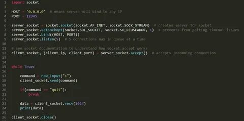 Python send