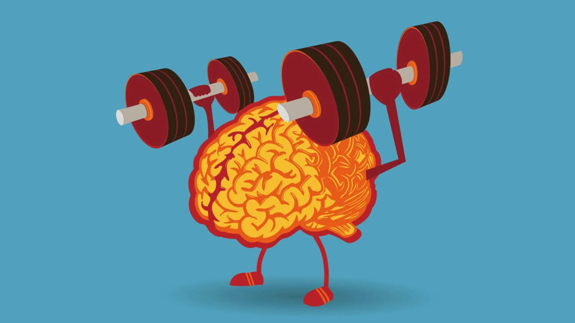 Mind fitness. Тренажер для мозга. Майнд фитнес. Тренажер для мозгов. Тренер по майнд-фитнесу.