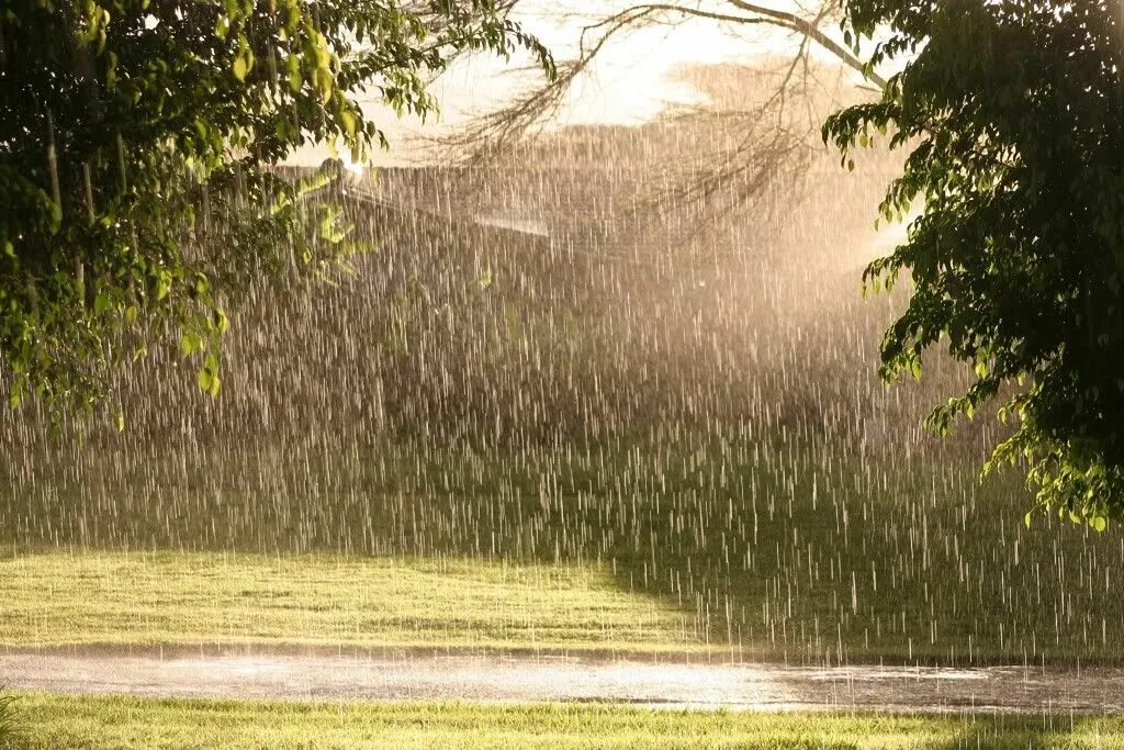 Дождь. Лето дождь. Дождь летом. Ливень. Sun shower