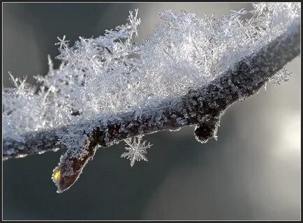 Хрупкая природа