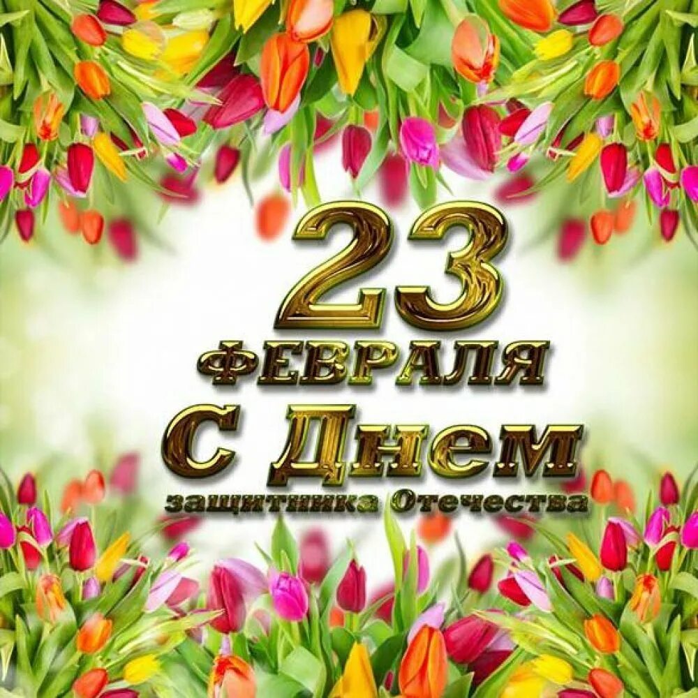 Картинка 23 февраля женщинам. Открытка 23 февраля. Красочные открытки с 23 февраля. Поздравительные открытки с 23 февраля. Цветы на 23 февраля.