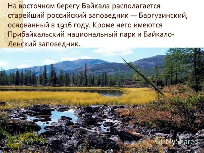 Байкало ленский заповедник где находится. Байкало-Ленский заповедник. Самый Восточный заповедник России. Байкало-Ленский заповедник на карте. Байкало-Ленский заповедник интересные факты.