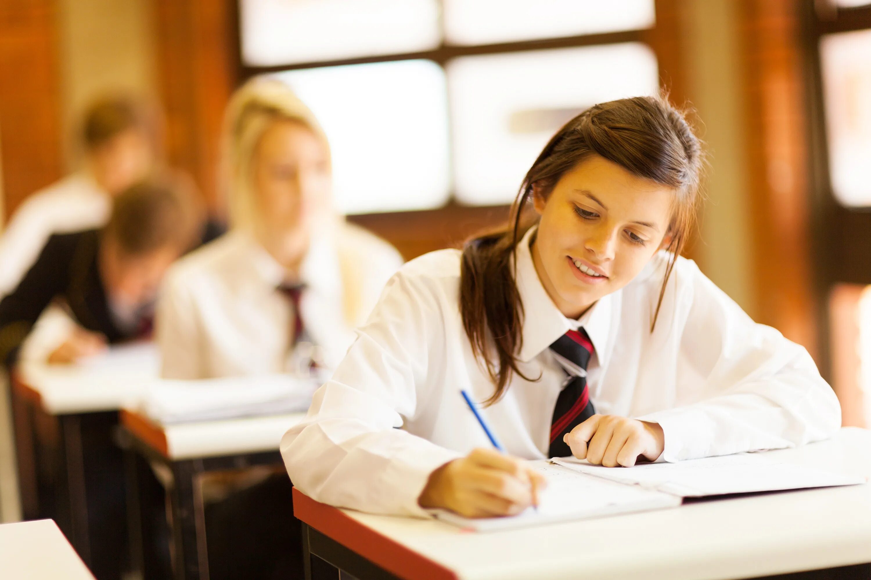 Studies tpdi