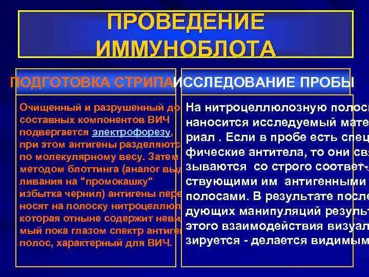 Иммуноблот на ВИЧ анализ. Положительный иммуноблот на ВИЧ. Иммуноблот при ВИЧ. ИФА положительный иммуноблот положительный.