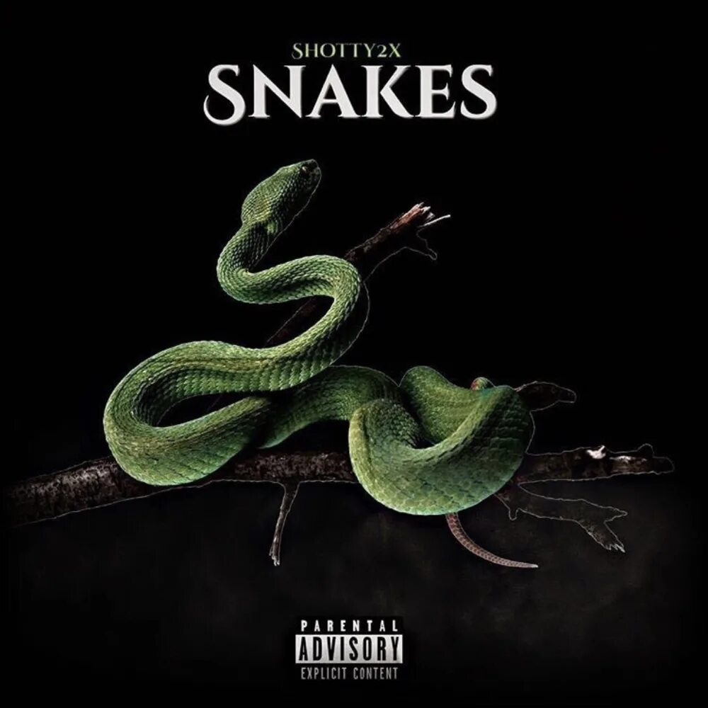 Snake's music