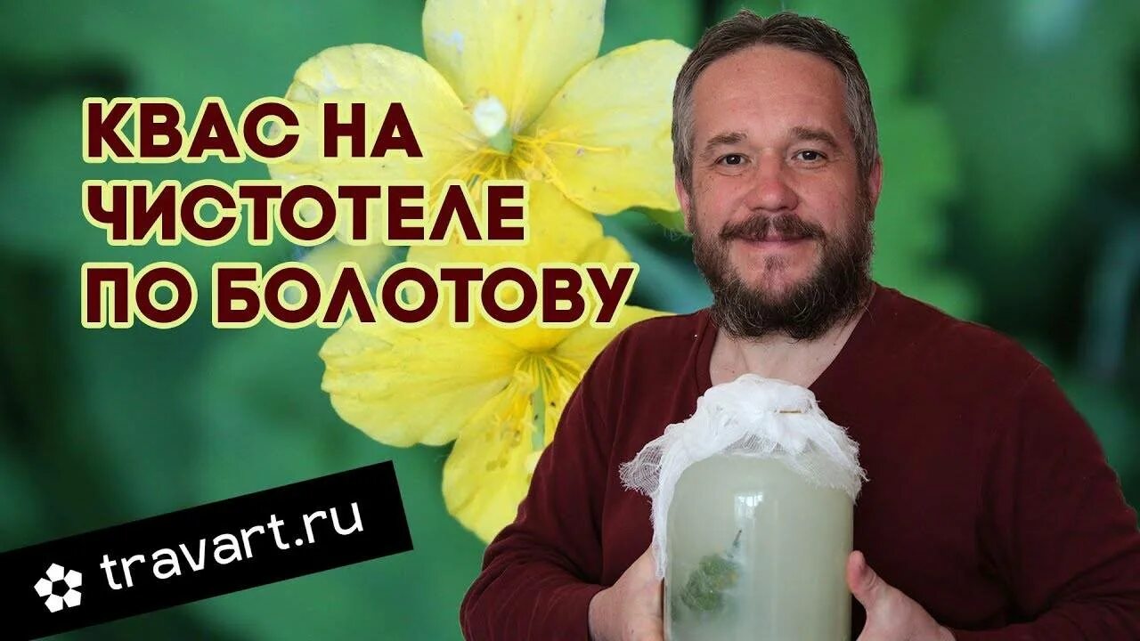 Целебные квасы болотова на чистотеле. Квас бориса болотова на чистотеле. Квас из чистотела по болотову. Квас из чистотела по болотову рецепт. Квас болотова.