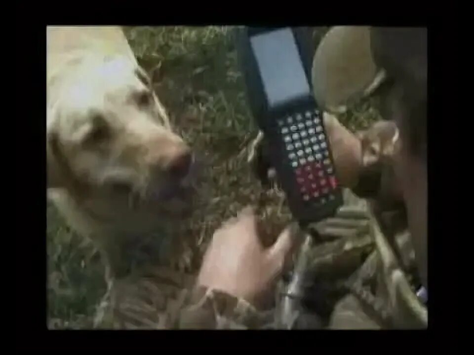 Hunt test. Hunt test