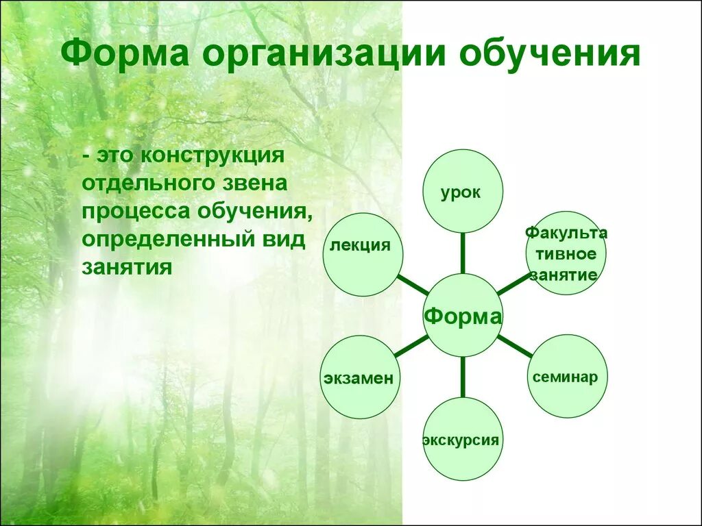 Фактор обучения и воспитания. К формам организации процесса обучения относятся. Формы организации учебного процесса схема. Формы и виды организации обучения. Форма органов.