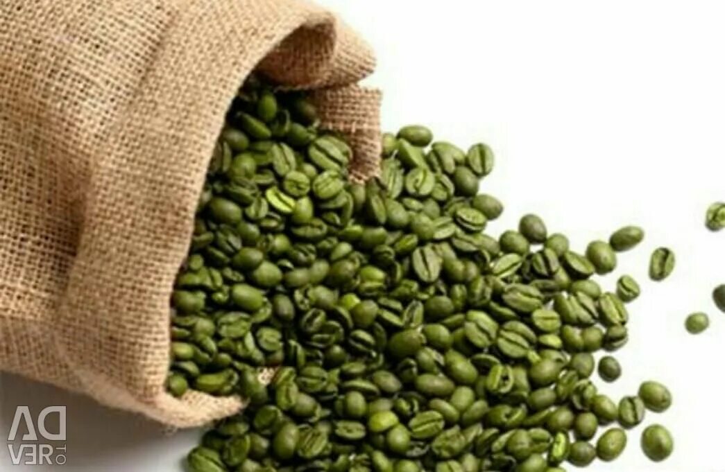 День зеленого кофе. Зеленый кофе. Зеленый кофе в зернах. Кофе Verde зеленый. Плоды зеленого кофе.