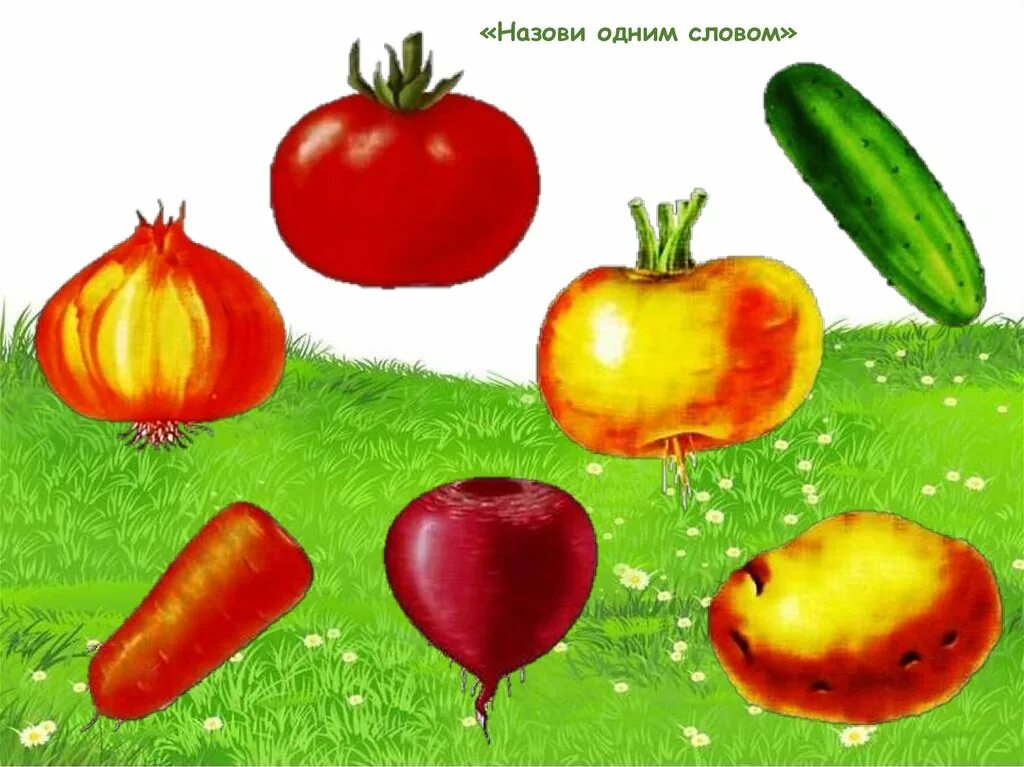 Игра называется овощи. Назови одним словом игра для дошкольников. Иллюстрации овощей в средней группе. Обобщающие понятия овощи. Обобщающие понятия для детей.