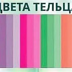 Цвет тельца
