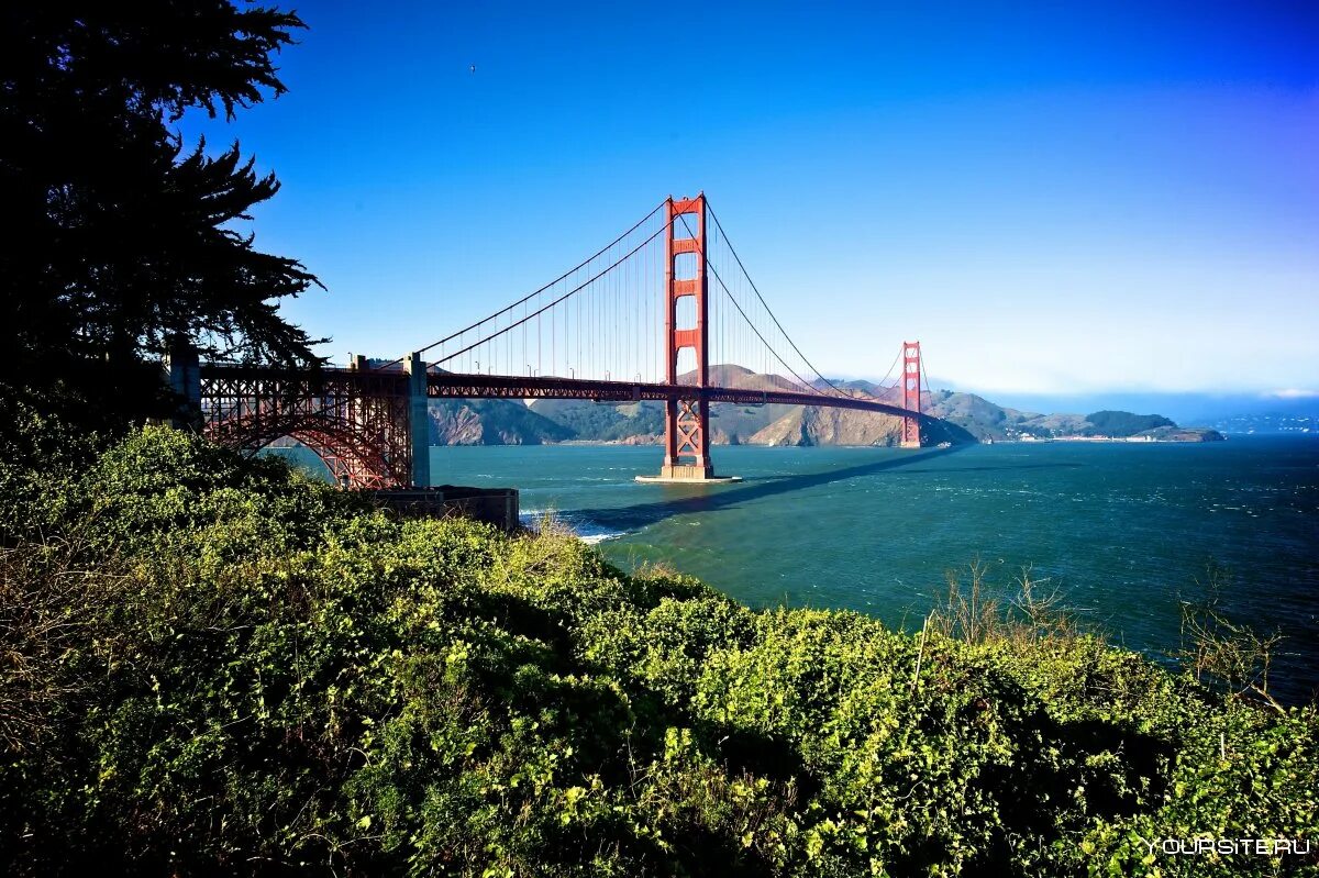 Мост Лос Анджелес Сан Франциско. Золотые ворота Лос Анджелес. Мост в Лос Анджелесе золотые ворота. Лос-Анджелес Калифорния мост золотые ворота.