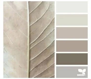 Neutral beige