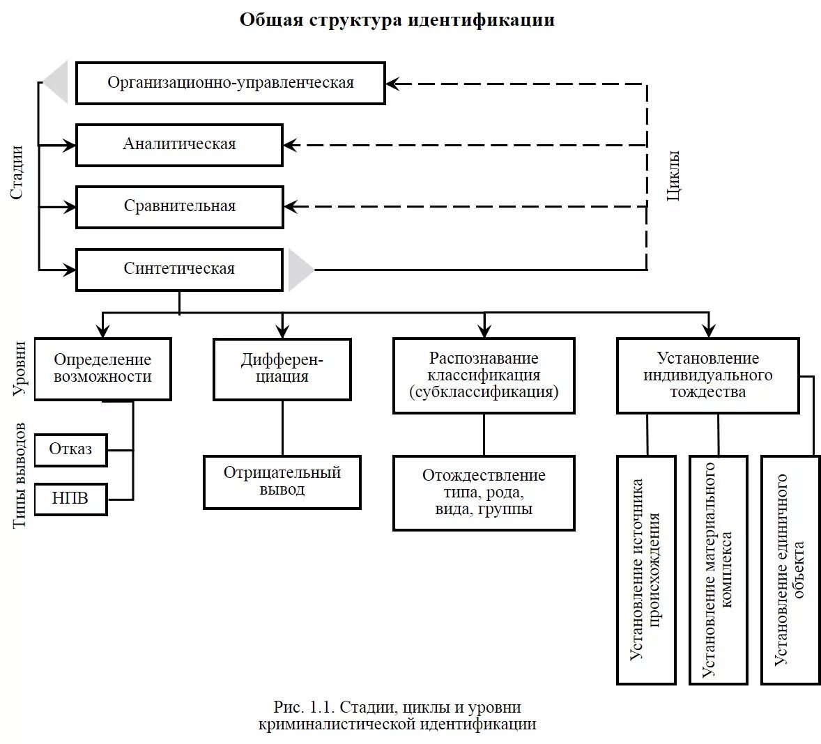 Какие этапы включает в себя идентификация. Этапы идентификации в криминалистике схема. Стадии идентификационного исследования в криминалистике схема. Стадии идентификации в криминалистике. Этапы идентификационного периода в криминалистике схема.