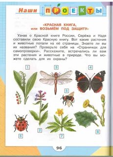 Задание окружающий мир 2 класс красная книга