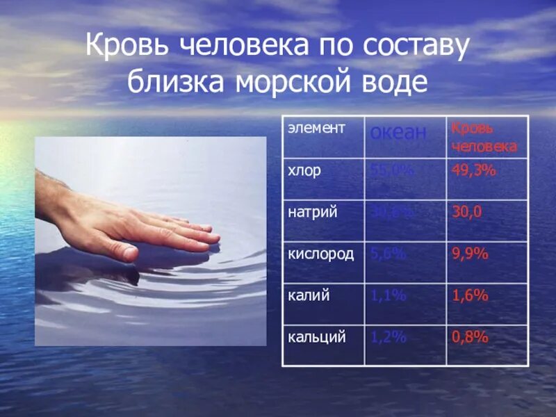 Морская вода и кровь человека. Соленость морской воды. Соленость крови и морской воды. Кровь и морская вода состав. Соленость воды биология