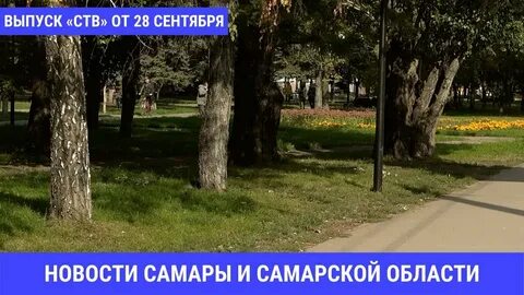Ств факт