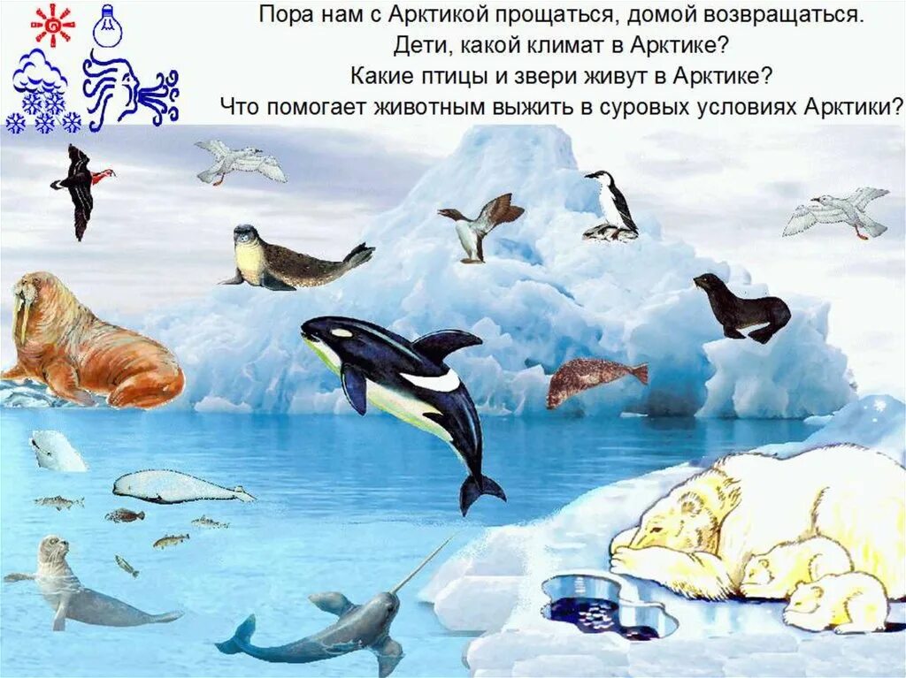 Арктика и антарктида для детей. Животный мир Арктики. Животные Арктики и Антарктики. Животные Арктики для детей. Животные Арктики и Антарктики для детей