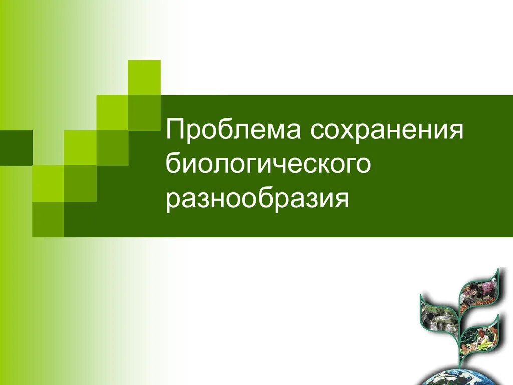 Сохранение биологического разнообразия. Проблема сохранения биологического разнообразия. Сохранение биоразнообразия. Сохранение биоразнообразия презентация.