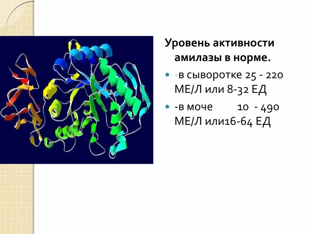 Фермент альфа амилаза. Амилаза фермент. Α-амилаза. Фермент амилаза в слюне. Α-амилаза строение.