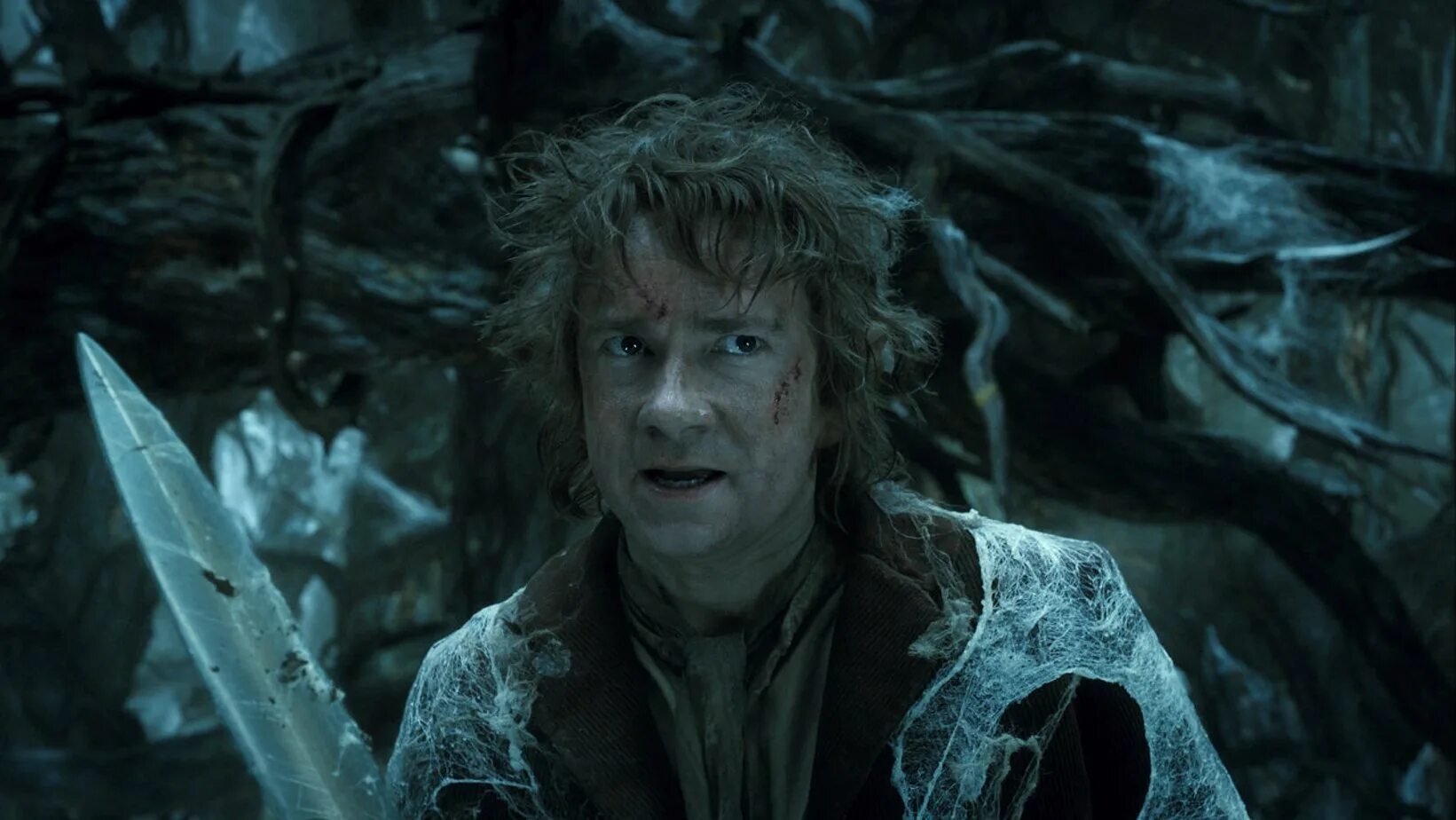 Хоббит hobbit. Хоббит: пустошь смауга (2013). бильбо бэггинс хоббит пустошь смауга.